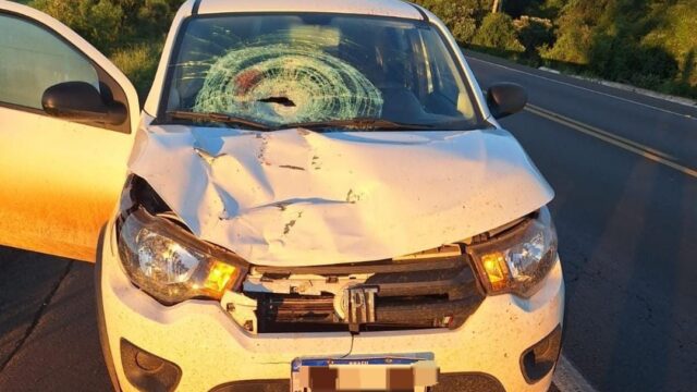 Homem morre atropelado na BR-282, em Xanxerê